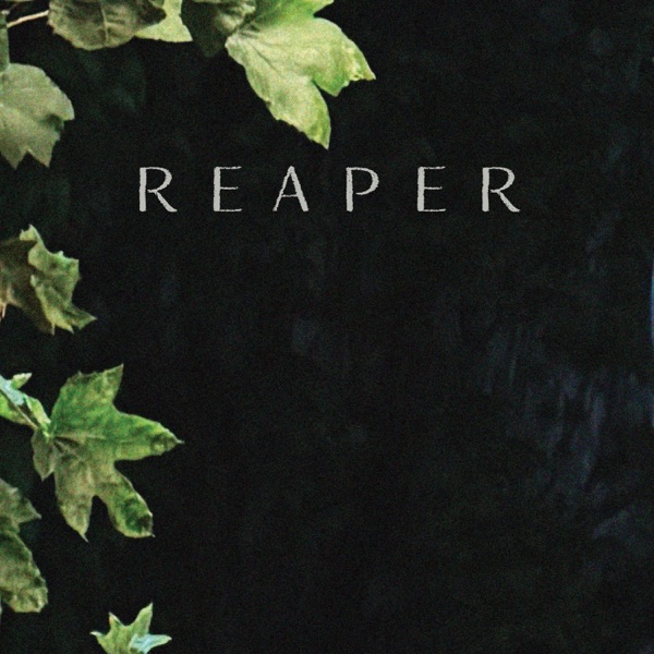 Cover art for Reaper